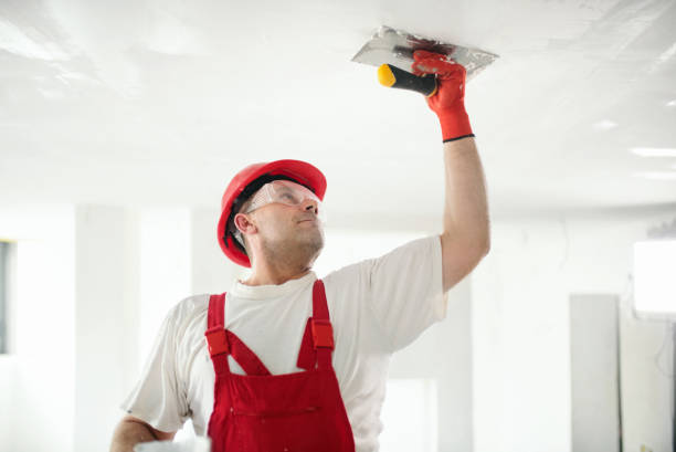 Best Residential Mold Inspection & Testing  in Ashwaubenon, WI