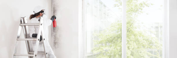 Mold Remediation for Rental Properties in Ashwaubenon, WI